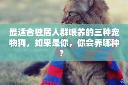 最適合獨居人群喂養的三種寵物狗，如果是你，你會養哪種？ 