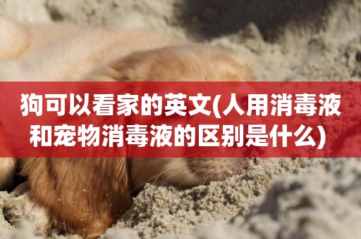 狗可以看家的英文(人用消毒液和寵物消毒液的區別是什么) 
