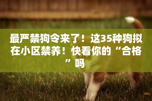 最嚴禁狗令來了！這35種狗擬在小區禁養！快看你的“合格”嗎 
