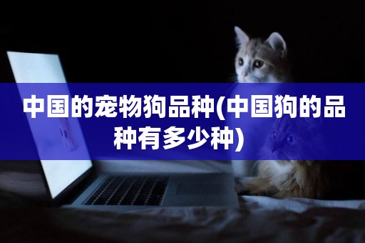 中國的寵物狗品種(中國狗的品種有多少種) 