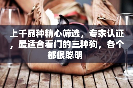 上千品種精心篩選，專家認證，最適合看門的三種狗，各個都很聰明 