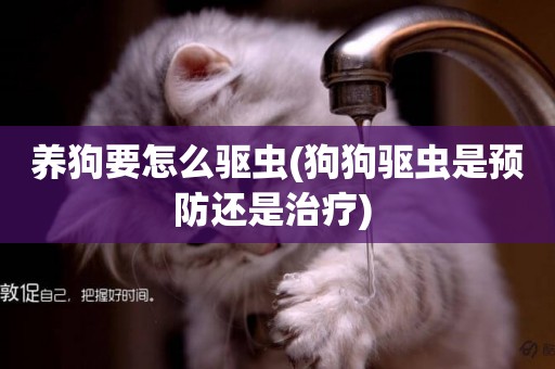 養狗要怎么驅蟲(狗狗驅蟲是預防還是治療) 