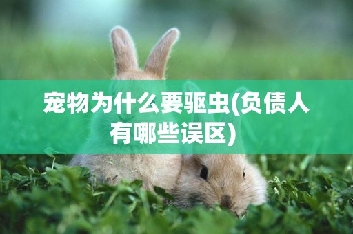 寵物為什么要驅蟲(負債人有哪些誤區) 