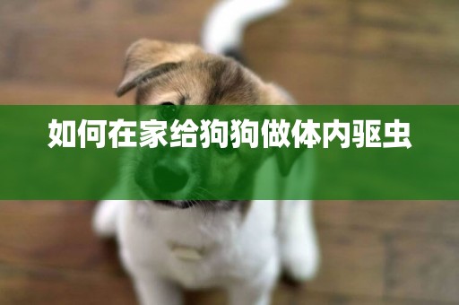 如何在家給狗狗做體內驅蟲 