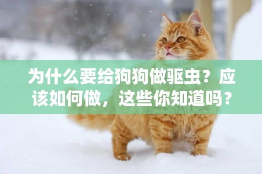 為什么要給狗狗做驅蟲？應該如何做，這些你知道嗎？ 