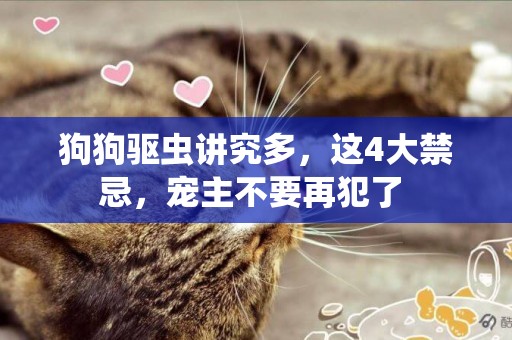 狗狗驅蟲講究多，這4大禁忌，寵主不要再犯了 