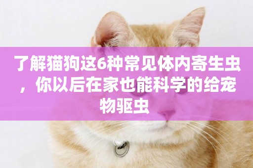 了解貓狗這6種常見體內寄生蟲，你以后在家也能科學的給寵物驅蟲 