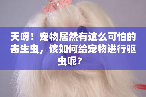 天呀！寵物居然有這么可怕的寄生蟲，該如何給寵物進行驅蟲呢？ 