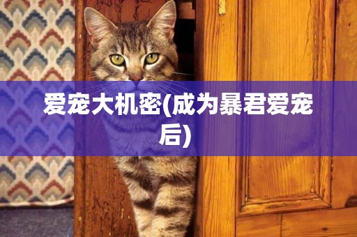 愛寵大機密(成為暴君愛寵后) 