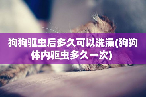 狗狗驅蟲后多久可以洗澡(狗狗體內驅蟲多久一次) 