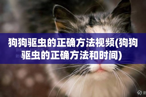 狗狗驅蟲的正確方法視頻(狗狗驅蟲的正確方法和時間) 