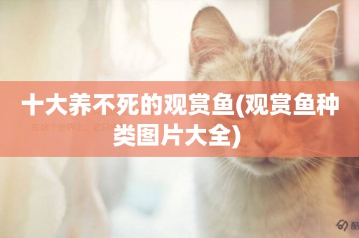 十大養不死的觀賞魚(觀賞魚種類圖片大全) 
