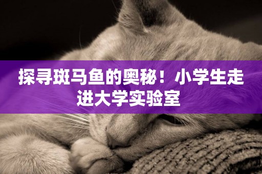 探尋斑馬魚的奧秘！小學生走進大學實驗室 