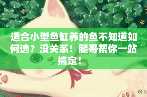 適合小型魚缸養的魚不知道如何選？沒關系！腿哥幫你一站搞定！ 