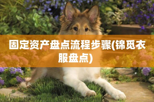 固定資產盤點流程步驟(錦覓衣服盤點) 