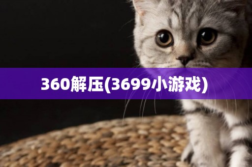 360解壓(3699小游戲) 