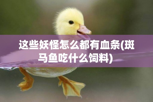 這些妖怪怎么都有血條(斑馬魚吃什么飼料) 