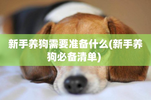 新手養狗需要準備什么(新手養狗必備清單) 