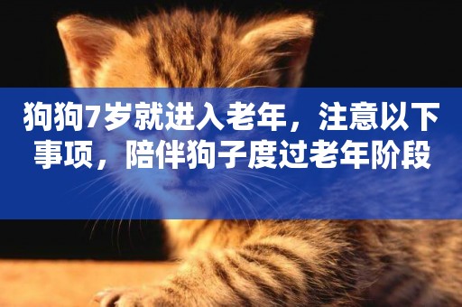 狗狗7歲就進入老年，注意以下事項，陪伴狗子度過老年階段 