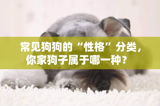 常見狗狗的“性格”分類，你家狗子屬于哪一種？ 