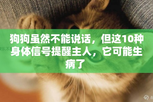 狗狗雖然不能說話，但這10種身體信號提醒主人，它可能生病了 