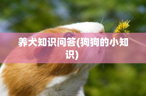 養犬知識問答(狗狗的小知識) 