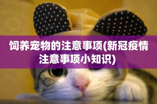 飼養寵物的注意事項(新冠疫情注意事項小知識) 