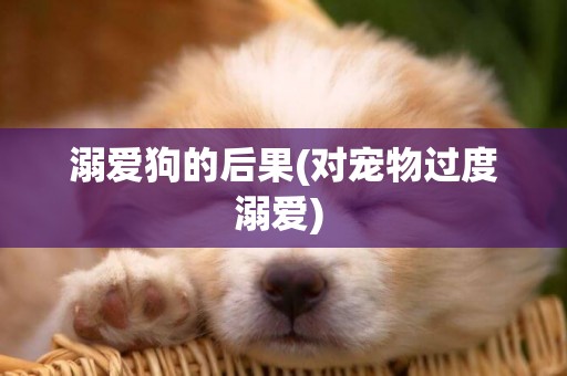 溺愛狗的后果(對寵物過度溺愛) 