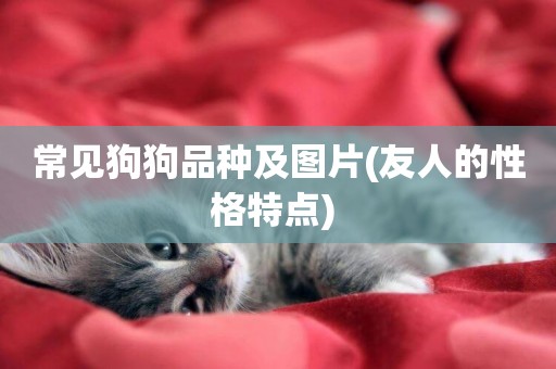 常見狗狗品種及圖片(友人的性格特點) 