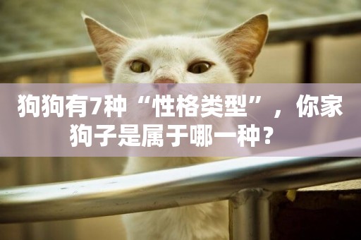 狗狗有7種“性格類型”，你家狗子是屬于哪一種？ 