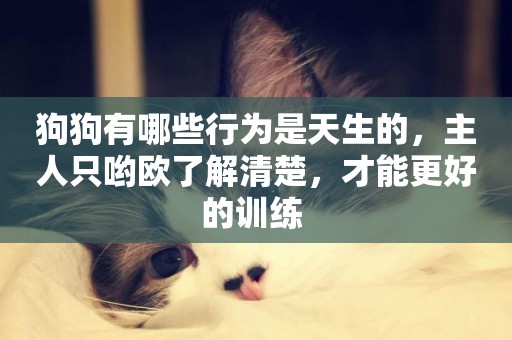 狗狗有哪些行為是天生的，主人只喲歐了解清楚，才能更好的訓練 