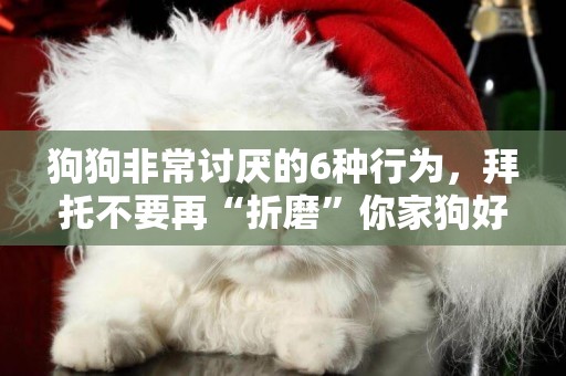 狗狗非常討厭的6種行為，拜托不要再“折磨”你家狗好嗎？ 