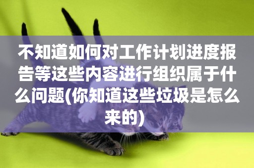 不知道如何對工作計劃進度報告等這些內容進行組織屬于什么問題(你知道這些垃圾是怎么來的) 