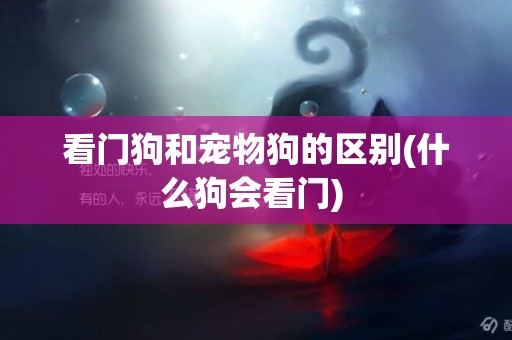 看門狗和寵物狗的區別(什么狗會看門) 