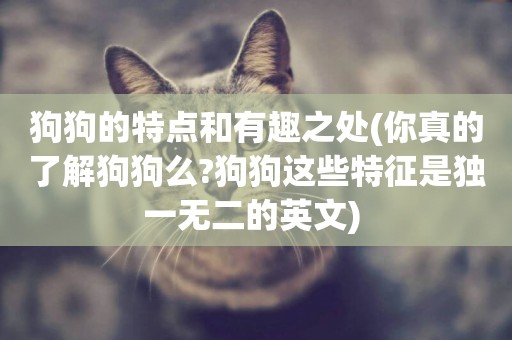 狗狗的特點和有趣之處(你真的了解狗狗么?狗狗這些特征是獨一無二的英文) 