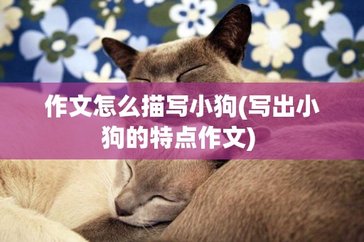 作文怎么描寫小狗(寫出小狗的特點作文) 