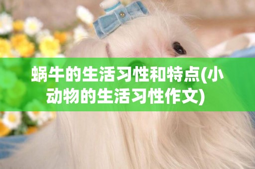 蝸牛的生活習性和特點(小動物的生活習性作文) 