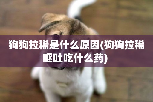 狗狗拉稀是什么原因(狗狗拉稀嘔吐吃什么藥) 