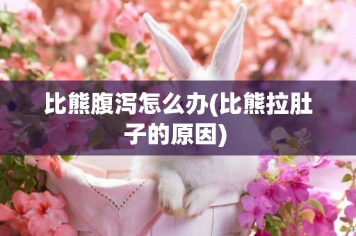 比熊腹瀉怎么辦(比熊拉肚子的原因) 