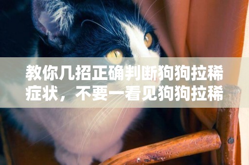 教你幾招正確判斷狗狗拉稀癥狀，不要一看見狗狗拉稀就認為是細小 