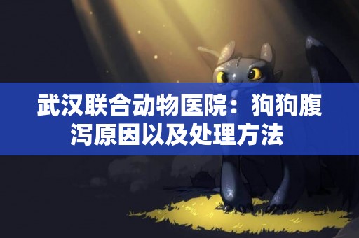 武漢聯合動物醫院：狗狗腹瀉原因以及處理方法 