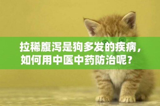 拉稀腹瀉是狗多發的疾病，如何用中醫中藥防治呢？ 