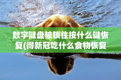 數字鍵盤被鎖住按什么鍵恢復(得新冠吃什么食物恢復快) 