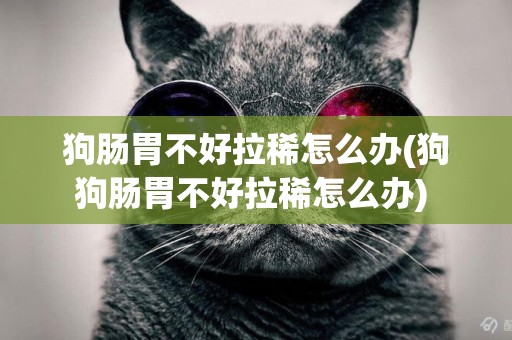 狗腸胃不好拉稀怎么辦(狗狗腸胃不好拉稀怎么辦) 