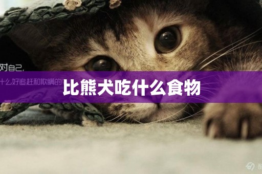 比熊犬吃什么食物
