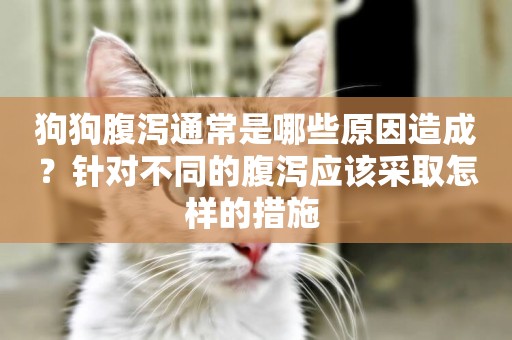 狗狗腹瀉通常是哪些原因造成？針對不同的腹瀉應該采取怎樣的措施 