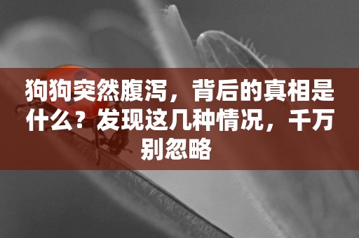 狗狗突然腹瀉，背后的真相是什么？發現這幾種情況，千萬別忽略 