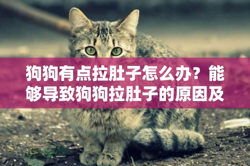 狗狗有點拉肚子怎么辦？能夠導致狗狗拉肚子的原因及處理措施 