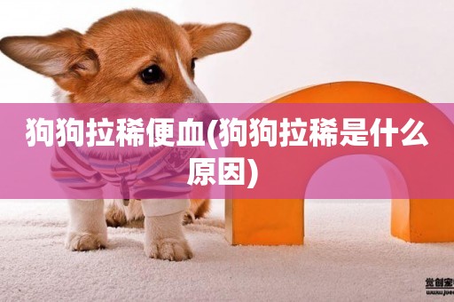 狗狗拉稀便血(狗狗拉稀是什么原因) 