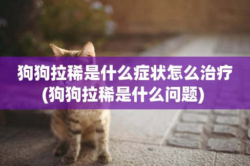 狗狗拉稀是什么癥狀怎么治療(狗狗拉稀是什么問題) 
